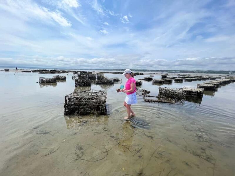 Plymouth: Oyster Farm Boat Tour with Tasting - Starting Point and Logistics