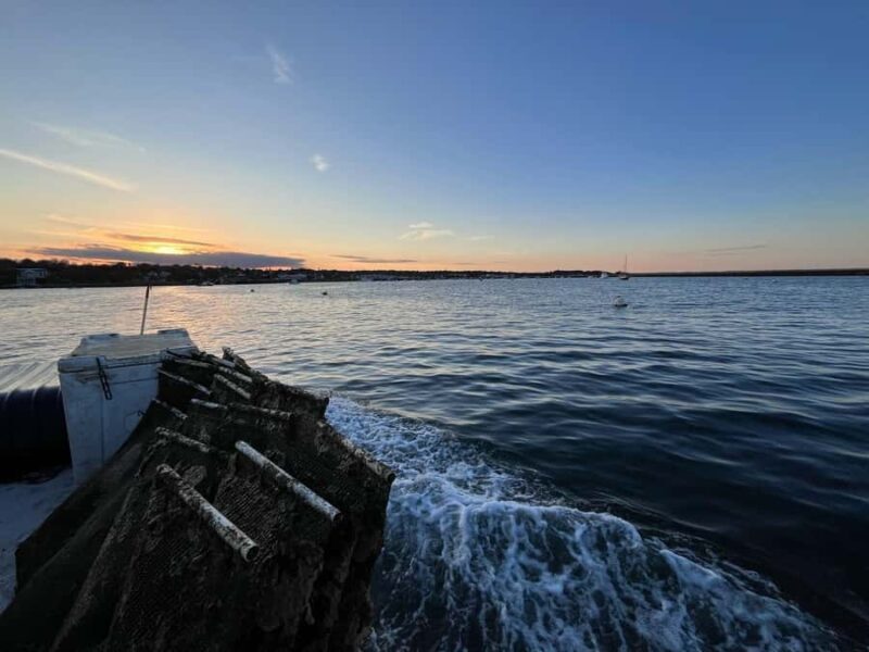Plymouth: Oyster Farm Boat Tour with Tasting - The Experience Onboard