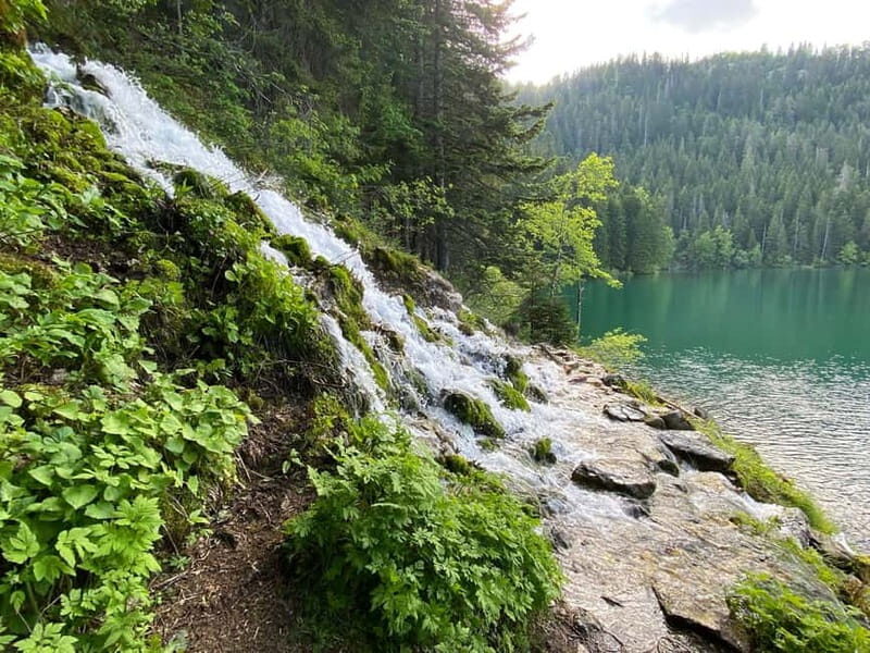 Podgorica: Durmitor National Park- Tara river, bridge & lake - Why This Tour Is a Great Choice