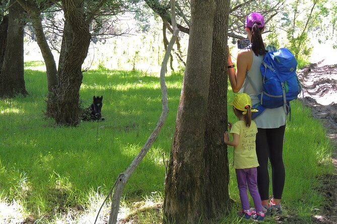 Podgorica Historic, Safari and Winery tour - Skadar lake and River Crnojevica - A Deep Dive into the Itinerary