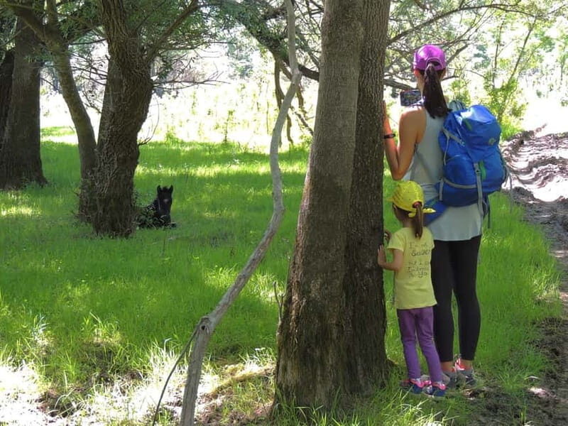 Podgorica Historic, Safari and Winery tour - Skadar lake - Authenticity and Feedback from Travelers