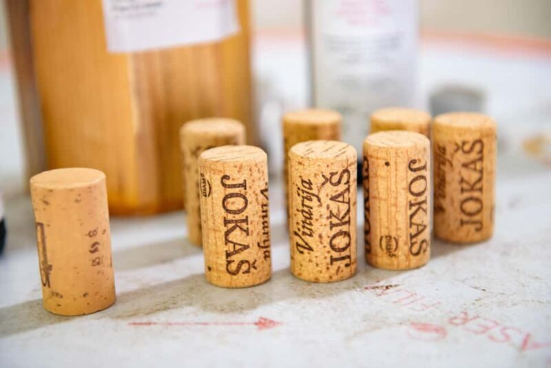 Podgorica: Panoramic Wine Tasting & Snack - What the Reviewers Say