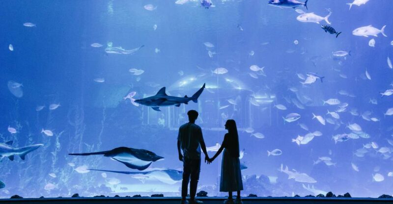 Poema del Mar Skip-the-Line Ticket - Authentic Experiences & Unique Features