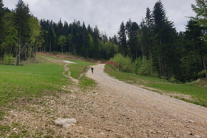 POIANA BRASOV and POSTAVARU CHALET eBike tour (BRASOV) - Who Would Love This Tour?