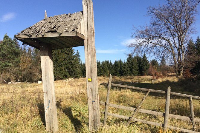 POIANA BRASOV and POSTAVARU CHALET eBike tour (BRASOV) - The Sum Up