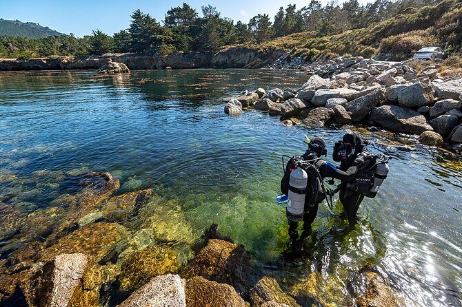 Point Lobos - A Private Charming Ocean Tour - Exploring the Itinerary