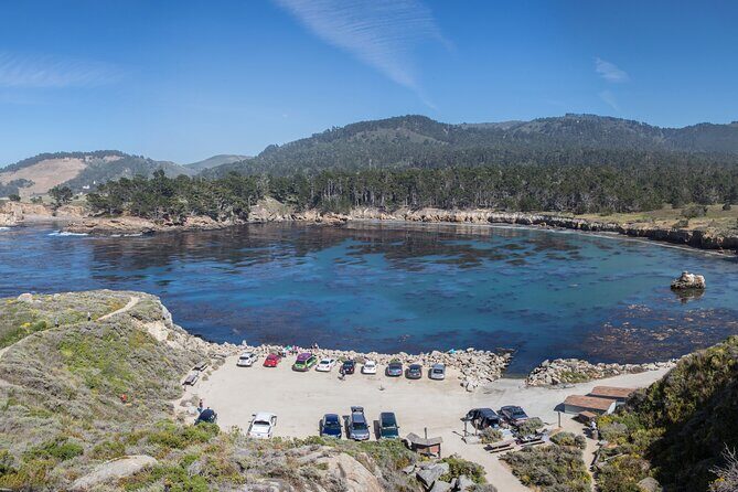 Point Lobos - A Private Charming Ocean Tour - What Makes Point Lobos Special?