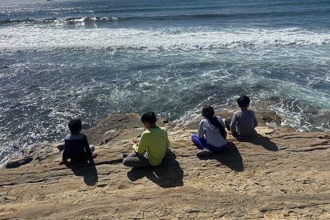 Point Loma Tide Pool Tour - Point Loma Tide Pool Tour Review: An Up-C close Look at California’s Marine Life