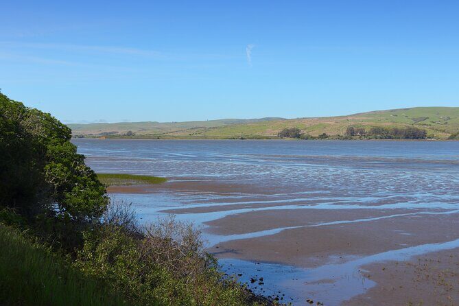 Point Reyes National Seashore Self Guided Driving Audio Tour - The Sum Up