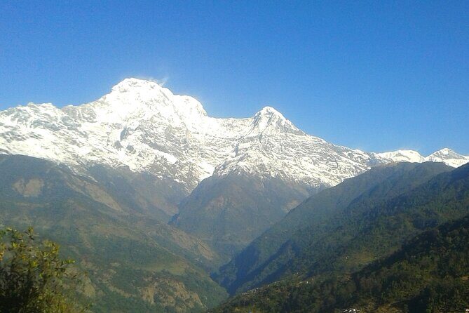 Pokhara 2 Days Private Tour Ghandruk Gurung Village Easy Hiking - Day 2: Tea Gardens, Museum, and Return to Pokhara