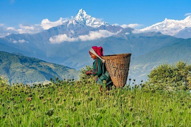 Pokhara 2 Days Private Tour Ghandruk Gurung Village Easy Hiking - Authentic Experiences & Traveler Tips
