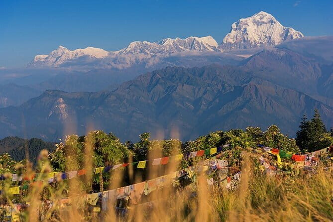 Pokhara 3 Days Ghorepani and Poon Hill Private Trek via Ghandruk - An In-Depth Look at the 3-Day Ghorepani and Poon Hill Trek