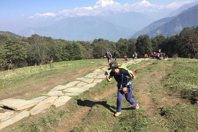 Pokhara: 4 Days Poon Hill - Ghandruk Village Trek - The Sum Up