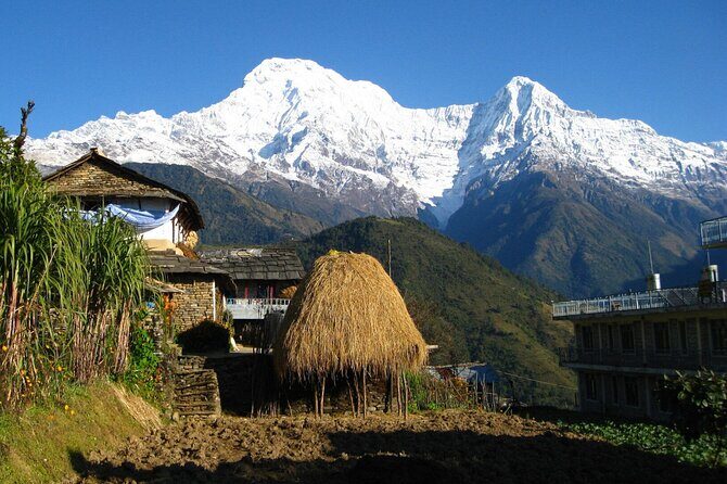 Pokhara: Dhampus Easy Trek for Families with YoungKids 2 Day Tour - Final Thoughts