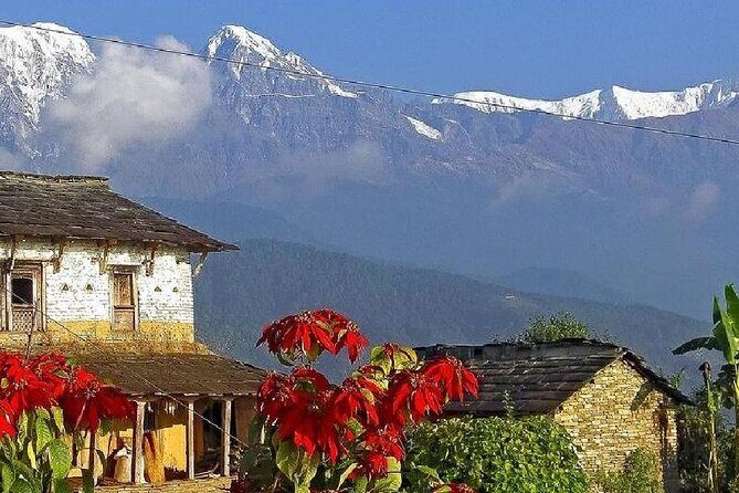 Pokhara: Dhampus Easy Trek for Families with YoungKids 2 Day Tour - Frequently Asked Questions