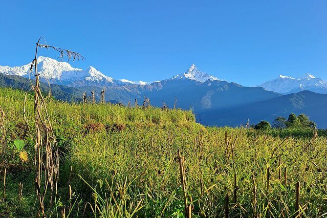 Pokhara: Easy Day Hike to Australian Camp & Dhampus Village - FAQ