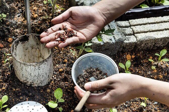 Pokhara: Organic Farm Tour and Cooking Class at Durku - FAQ