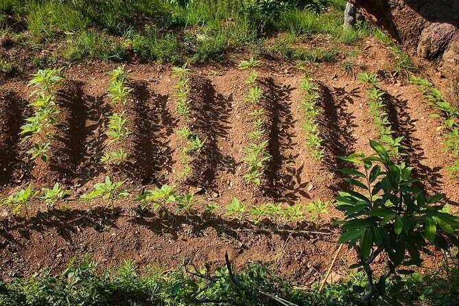 Pokhara: Organic Farm Tour and Cooking Class at Durku - Final Thoughts
