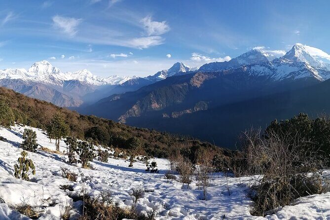 Pokhara Private 9 Day Trek Tour to Poon Hill Annapurna Base Camp - An In-Depth Look at the Trek Experience