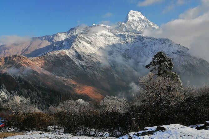 Pokhara Private Tour 2 Day Poon Hill Short Trek - An In-Depth Look at the 2-Day Poon Hill Trek