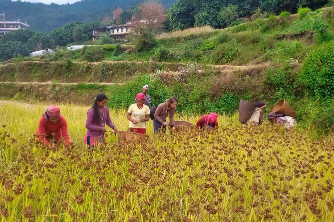 Pokhara Tour from Kathmandu and Short Annapurna Trek - FAQ
