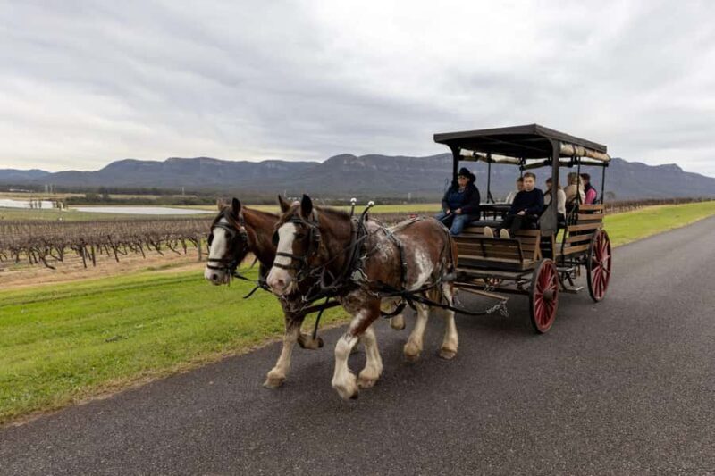 Pokolbin: Harvest the Hunter Horse Drawn Carriage Tour 3hrs - An Authentic Taste of Hunter Valley in a Charming Setting