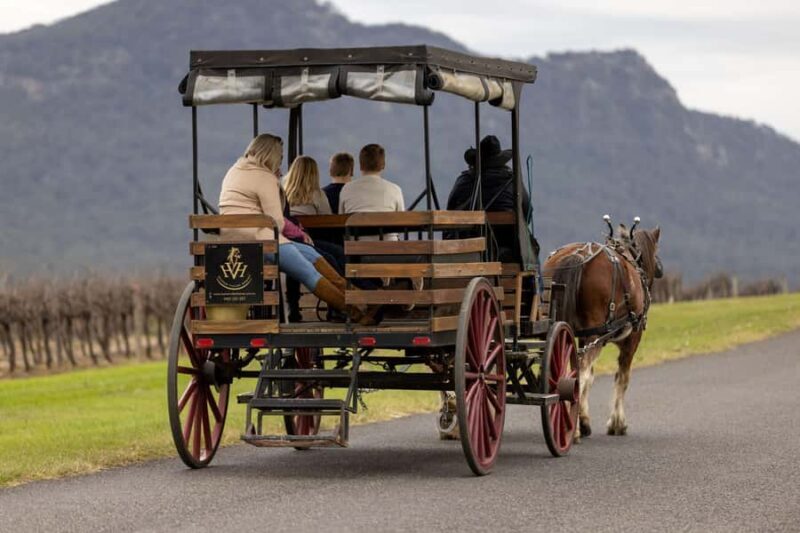 Pokolbin: Harvest the Hunter Horse Drawn Carriage Tour 3hrs - The Sum Up