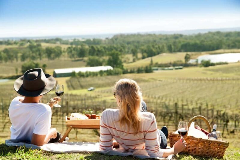 Pokolbin: Picnic & Wine Tasting at Audrey Wilkinson Vineyard - The Sum Up