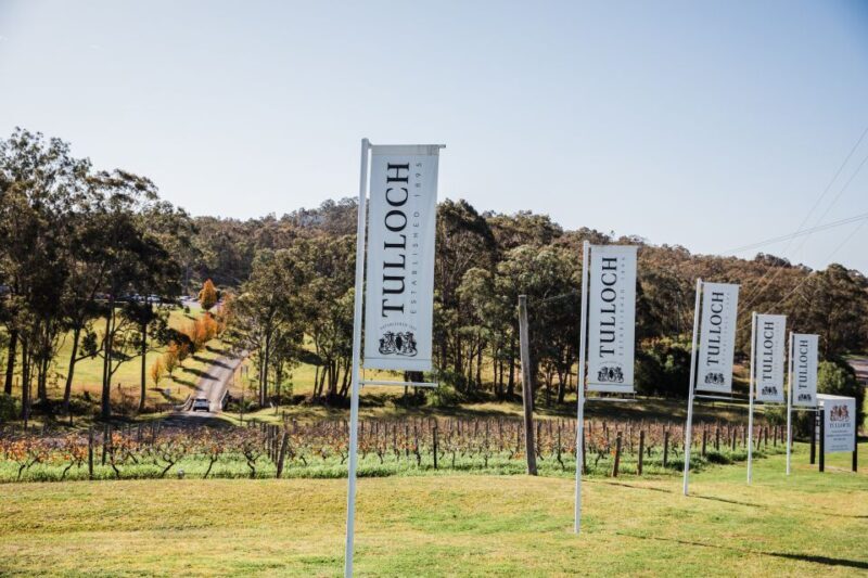 Pokolbin: Tulloch Hunter Heroes Wine Tasting & Cheese Board - The Sum Up