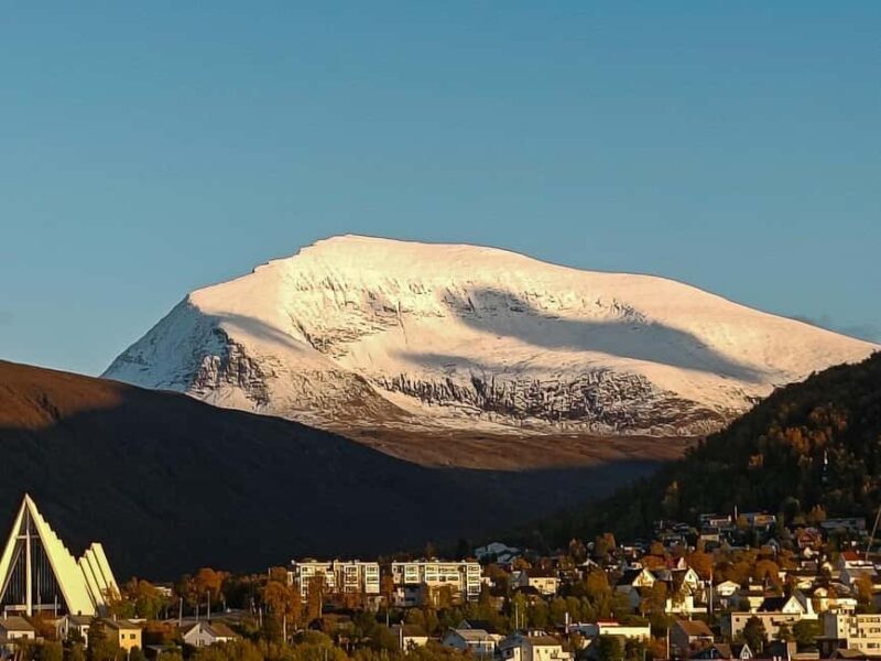 POLARIA AND FAMILY FRIENDLY CITY WALK - An In-Depth Look at the Tour Experience
