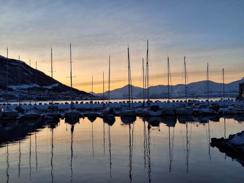 POLARIA AND FAMILY FRIENDLY CITY WALK - Who Should Consider This Tour?