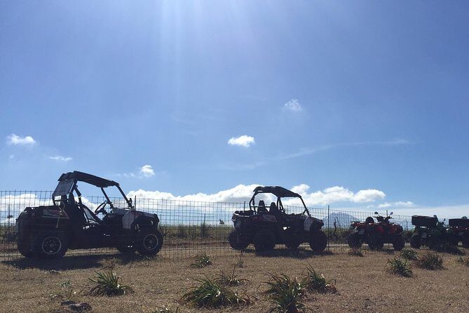 Polaris Buggy 4-Hour Safari from Rethymno Town - Final Thoughts: Who Will Love This Tour?