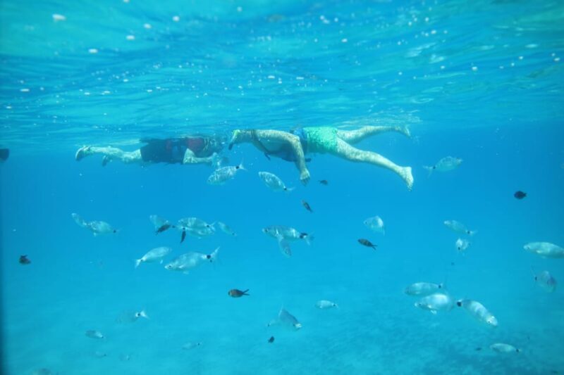 Pollença: Kayak and Coasteering Cliff Jumping - Why It’s Great Value