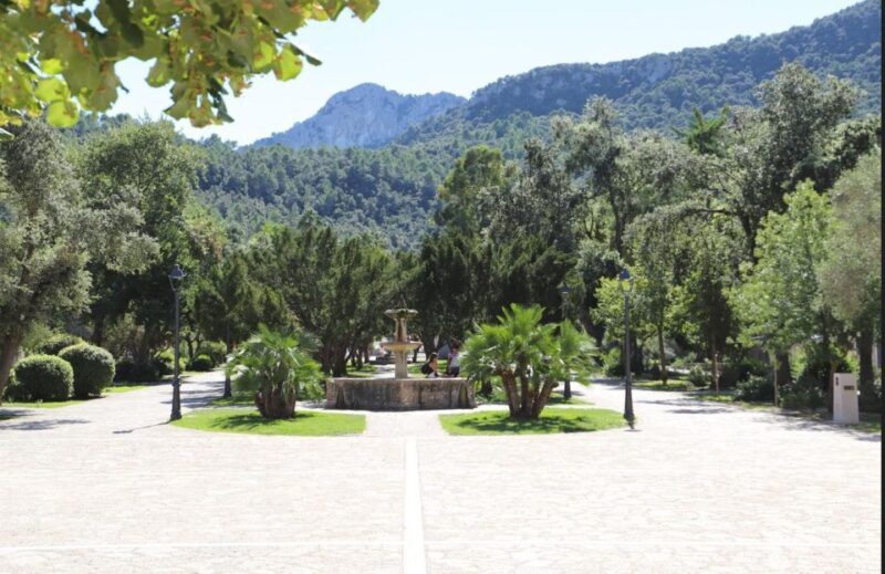 Pollensa market and Lluc Monastery - Who Is This Tour Best For?