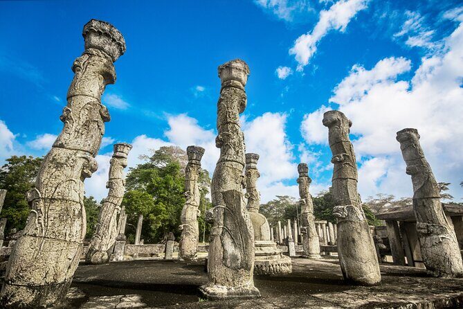 Polonnaruwa Ancient City And Habarana Day Tour From Sigiriya - What Makes This Tour Stand Out?
