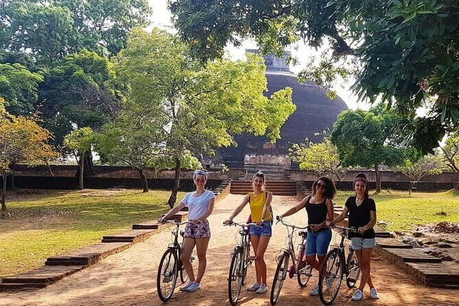 Polonnaruwe Ancient City Cycling Day Tour from Kandy - An In-Depth Look at the Tour Experience