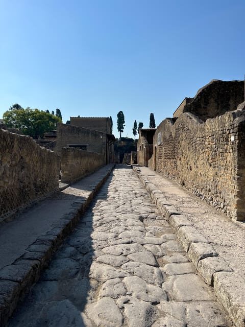Pompei Guided Tour in Shared Formula - Key Points