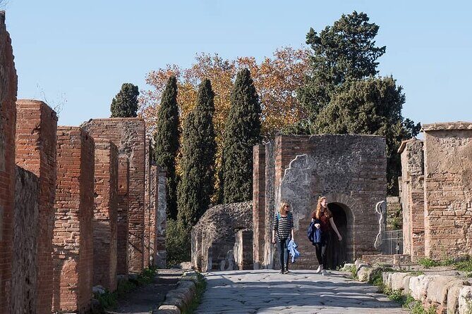Pompei Private Tour With An Expert Archaeologist Guide - An Honest Look at the Pompeii Private Tour Experience