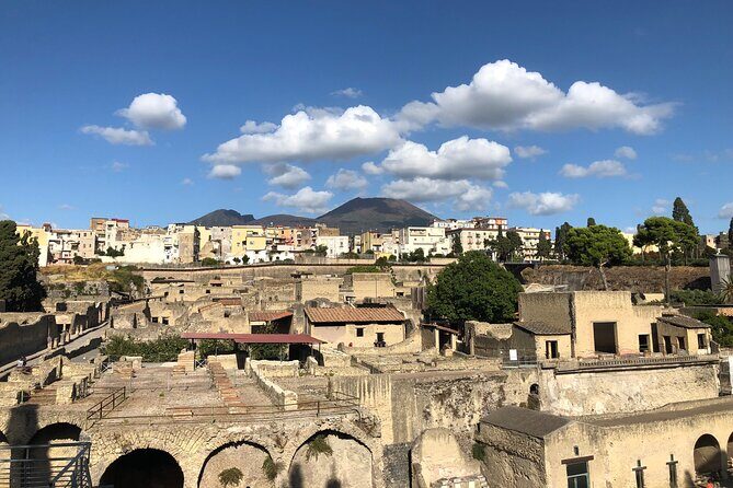 Pompeii and Herculaneum Private Tour with Pick up and Wine Tasting - FAQ