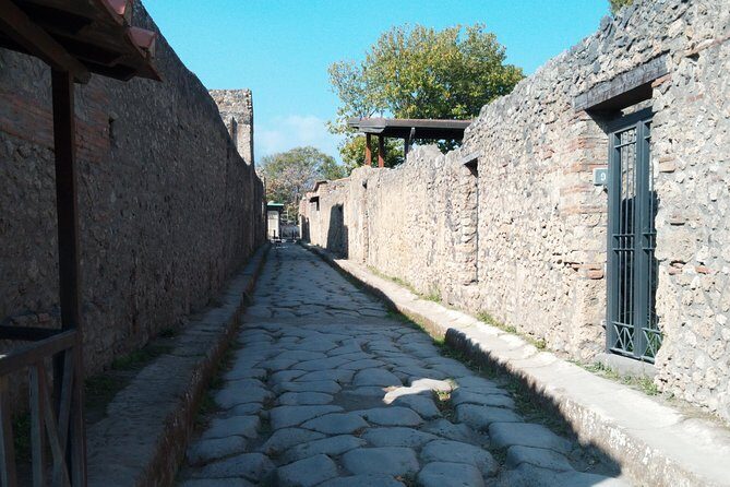 Pompeii and Herculaneum Skip-The-Line with Lunch and Wine Tasting from Rome - Practical Tips for Making the Most of This Tour