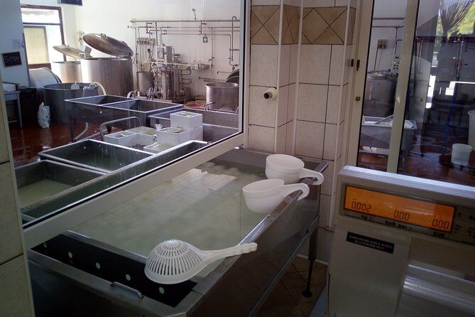 Pompeii and Herculaneum Skip-The-Line with Lunch and Wine Tasting from Rome - Authentic Experiences That Stand Out