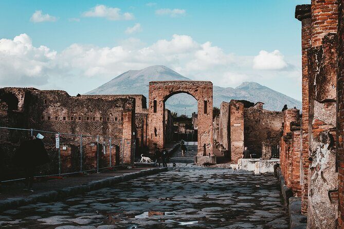 Pompeii and Vesuvius Experience from Naples - Skip the line - - The Experience: What to Expect from Start to Finish