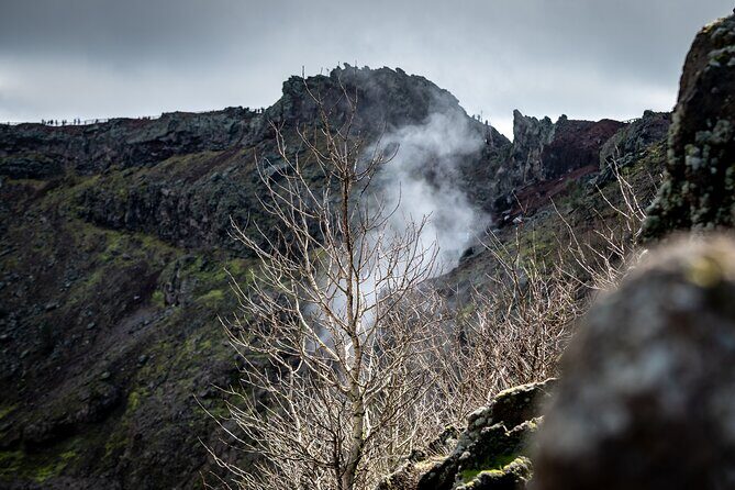 Pompeii and Vesuvius Small Group Tour from Sorrento with Pizza - An In-Depth Look at the Tour Experience