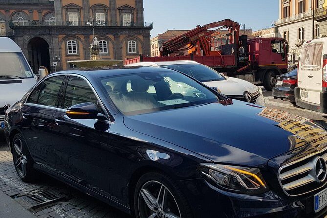 Pompeii excavations and its vineyards - Exploring Pompeii and its Vineyards: A Complete Breakdown