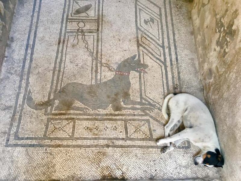 Pompeii: experience with a real archaeologist in a small group - FAQ