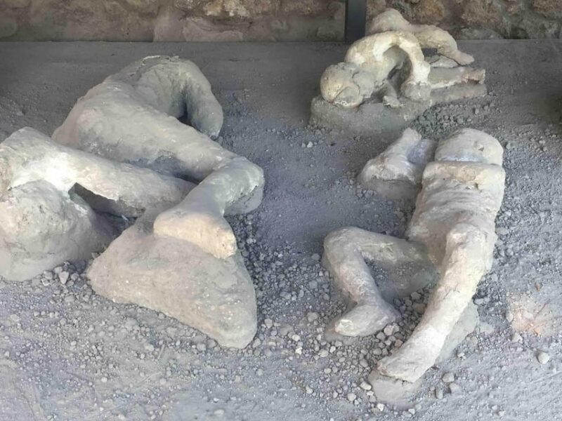 Pompeii: Group Guided Tour With Optional Tickets - Who Might Want More