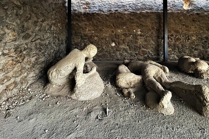 Pompeii Guided Tour from Naples with Skip-the-Line Entry - What You Can Expect During the Tour