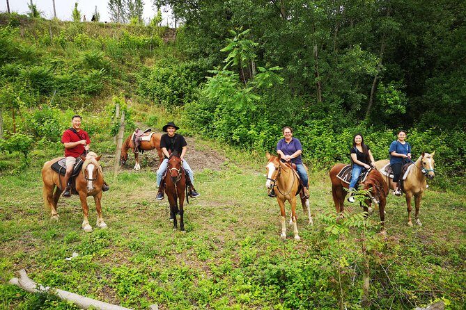 Pompeii Guided Tour & Horse Riding on Vesuvius with Lunch - FAQ