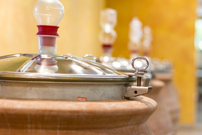 Pompeii Guided Tour & Lunch with Tasting at Two Vesuvian Wineries - The Sum Up: Who Will Love This Tour?