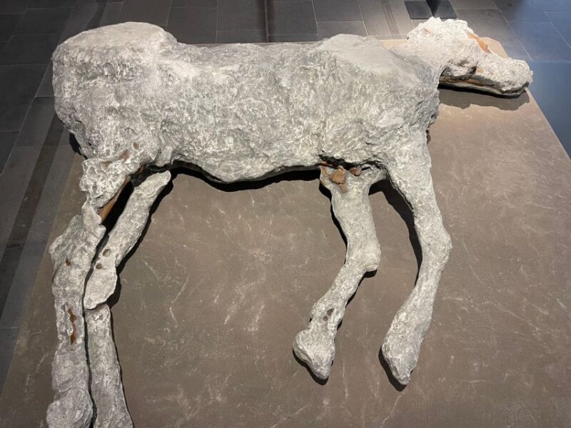 Pompeii Guided Tour Skip the line - Detailed Review of the Pompeii Guided Tour